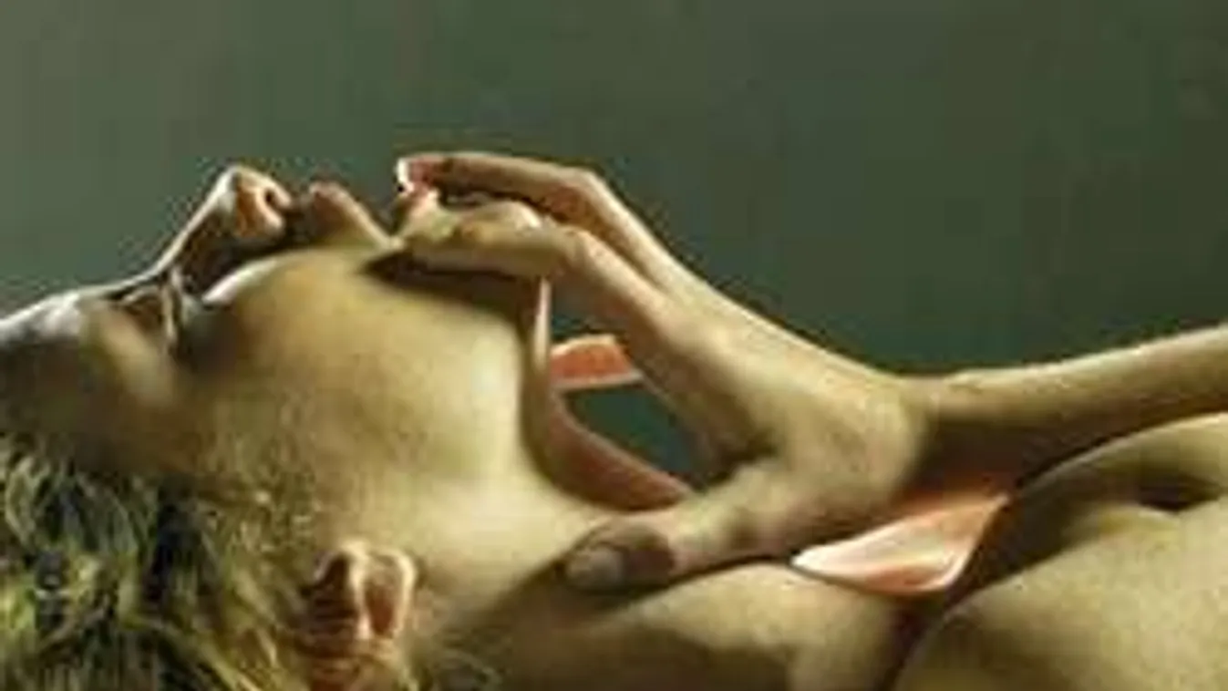 Kifakadt a szexszakértő: Senki ne mondja meg, hogy illendő elélveznem!