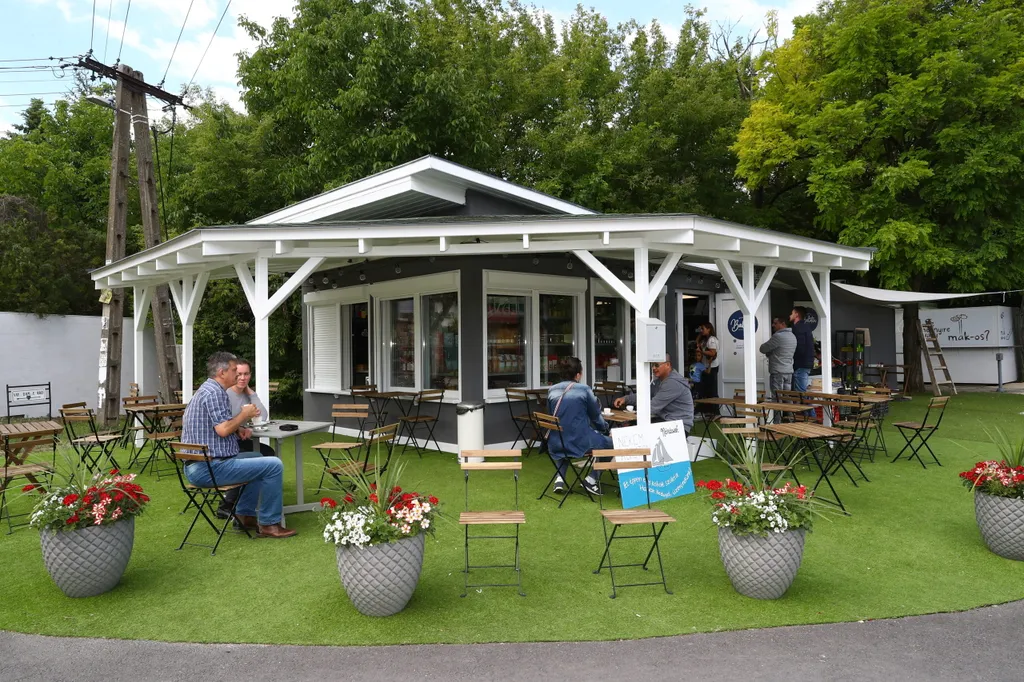 41D07339-45D1-455C-A266-EEE0DC28B727