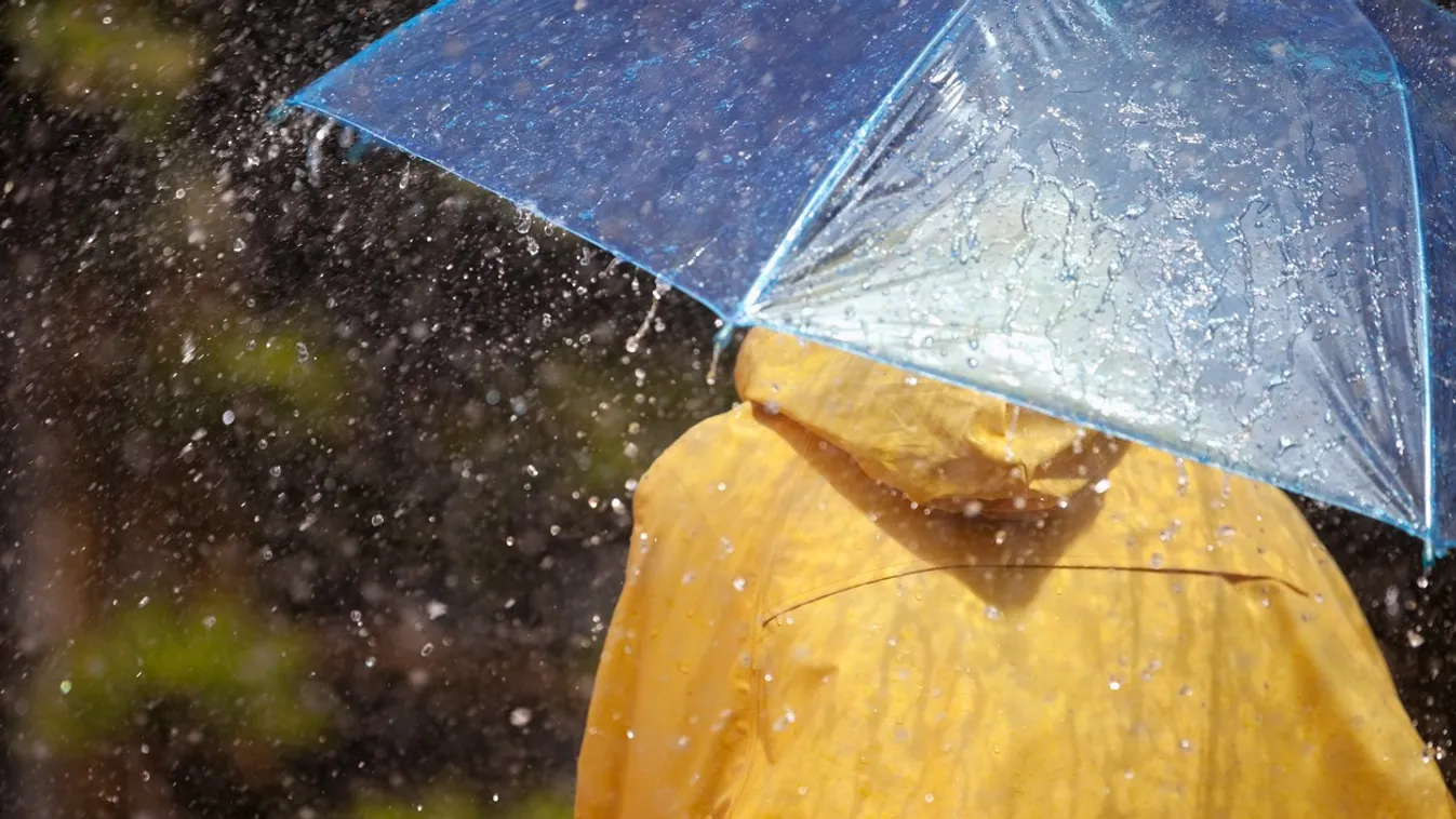 Woman under umbrella in rain