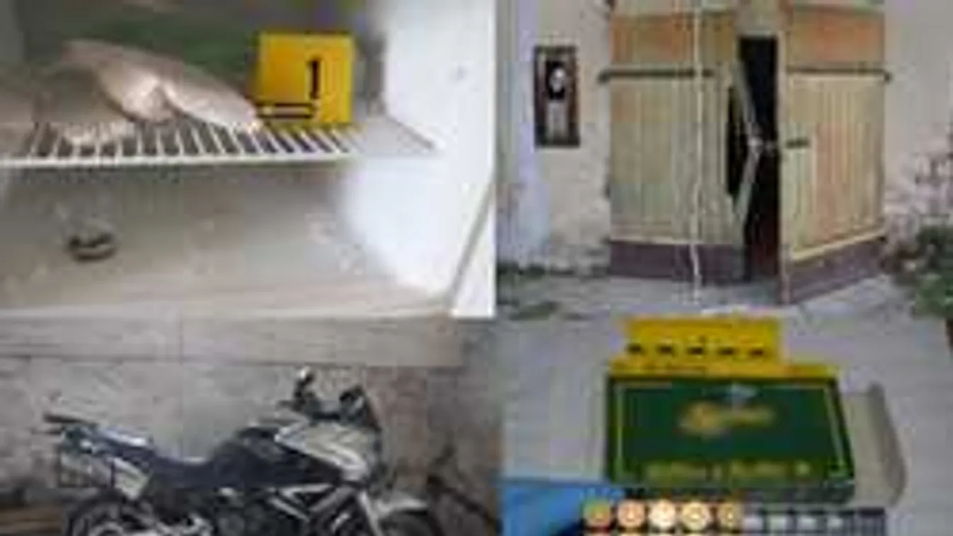 A magyar rendőrök is meglepődtek, amikor benéztek a férfi fagyasztójába