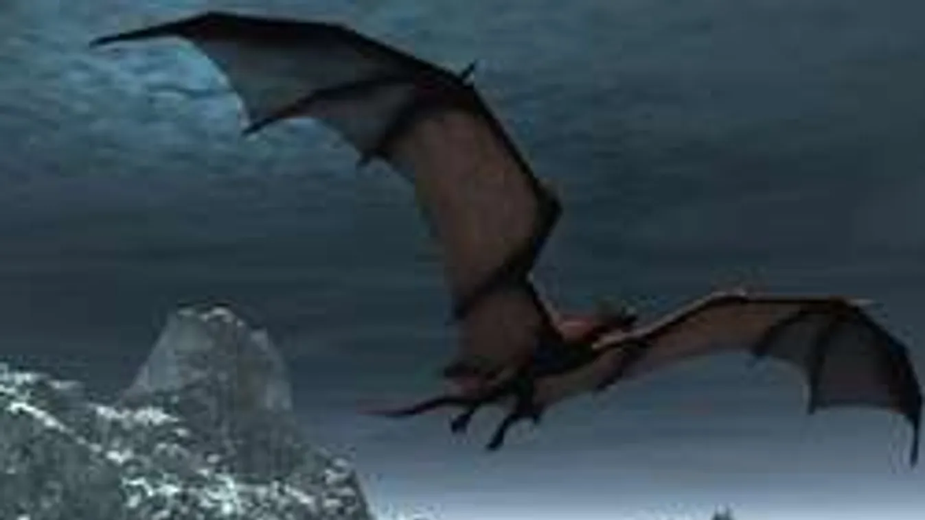 Hátborzongató őserdei lény repült be a turisták videójába!