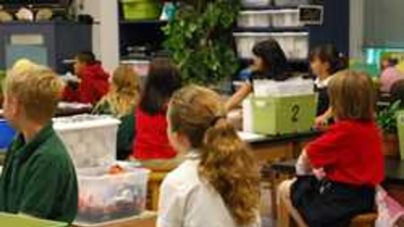 Ezért lehet sorsdöntő egy akusztikai beruházás