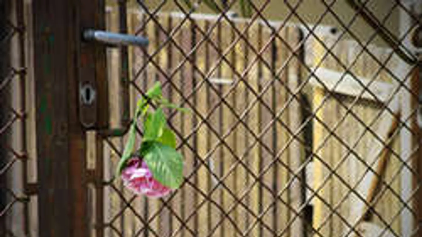 Elképesztő hazugsággal lógott meg a gyilkossá vált rabló!