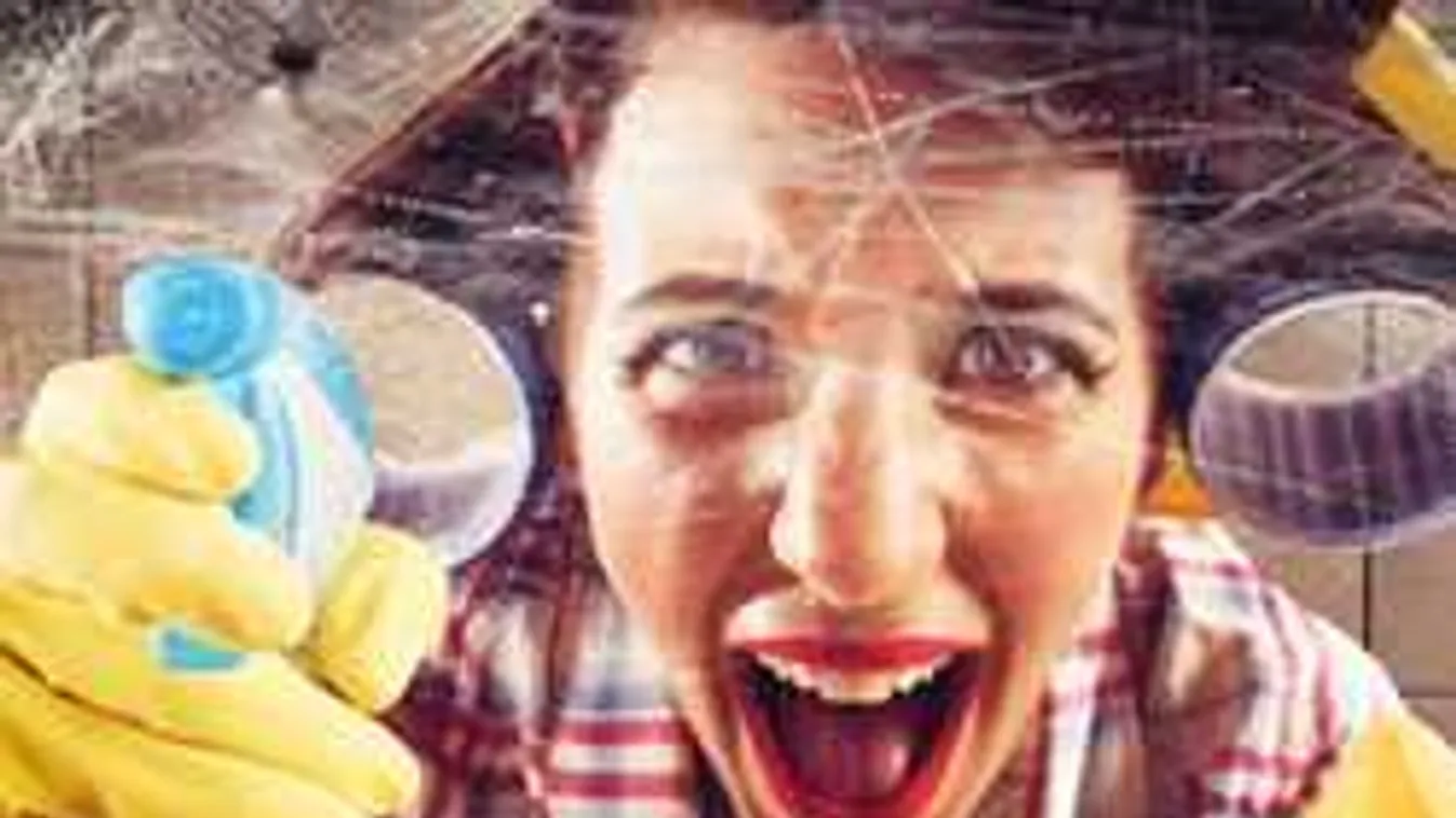 Félsz a pókoktól? Ezzel a természetes keverékkel  távol tarthatod őket