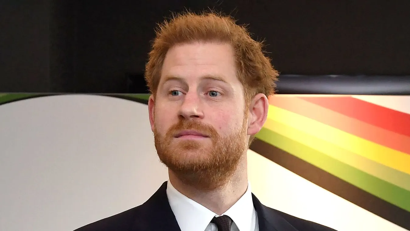 Prince Harry attends a UK-Africa Investment Summit