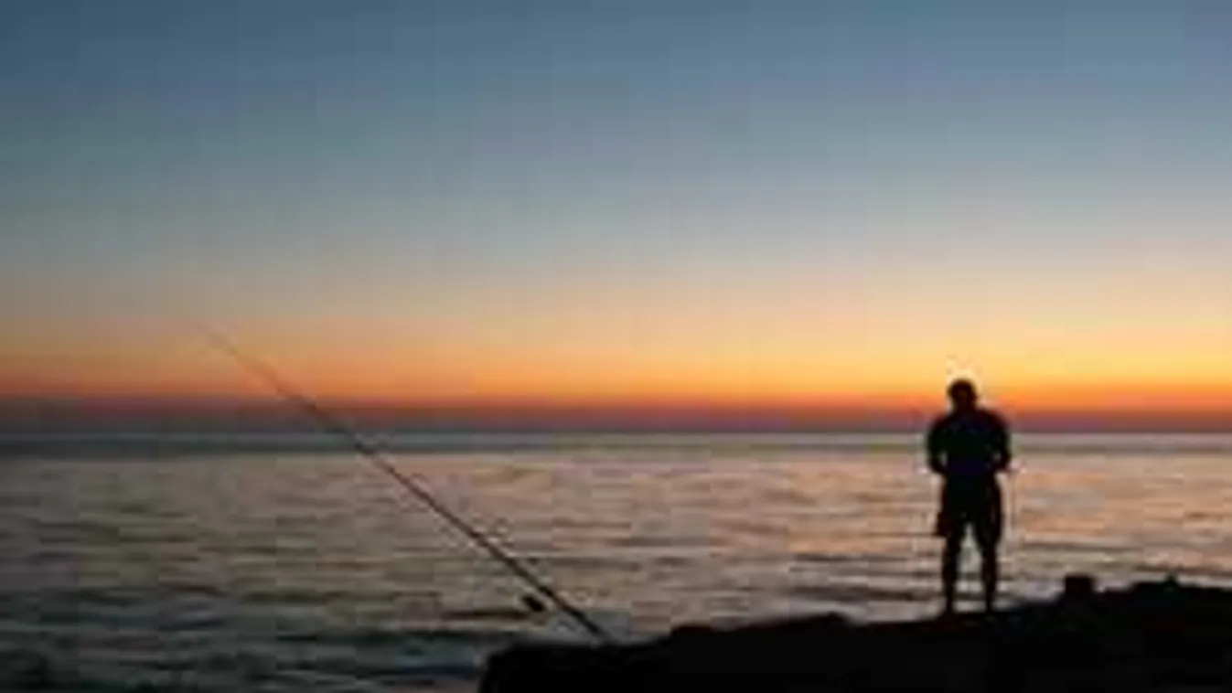 Halrém került elő a Balatonból: mi ez a koromfekete teremtmény?