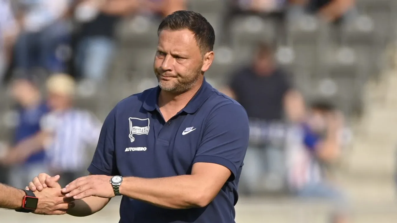 Dárdai is többet remélhetett az átigazolási időszaktól