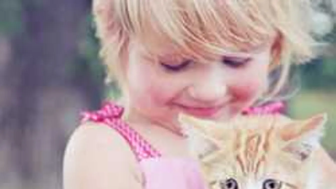 Bizarr találmány készült lakótelepi állatbarátoknak, ilyet még nem láttál