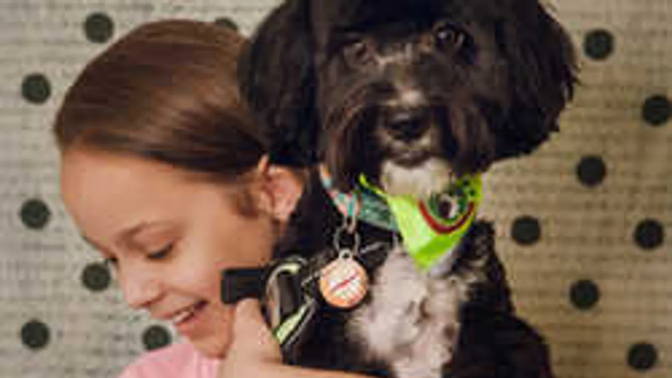 Magyar szenzáció: elképesztő, hogyan segít a kutya a beteg kislánynak