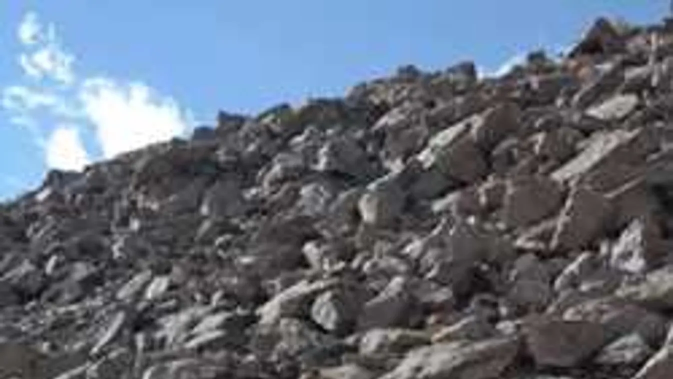 Találd meg a kecskét a képen - ha sikerül, akkor zseni vagy!