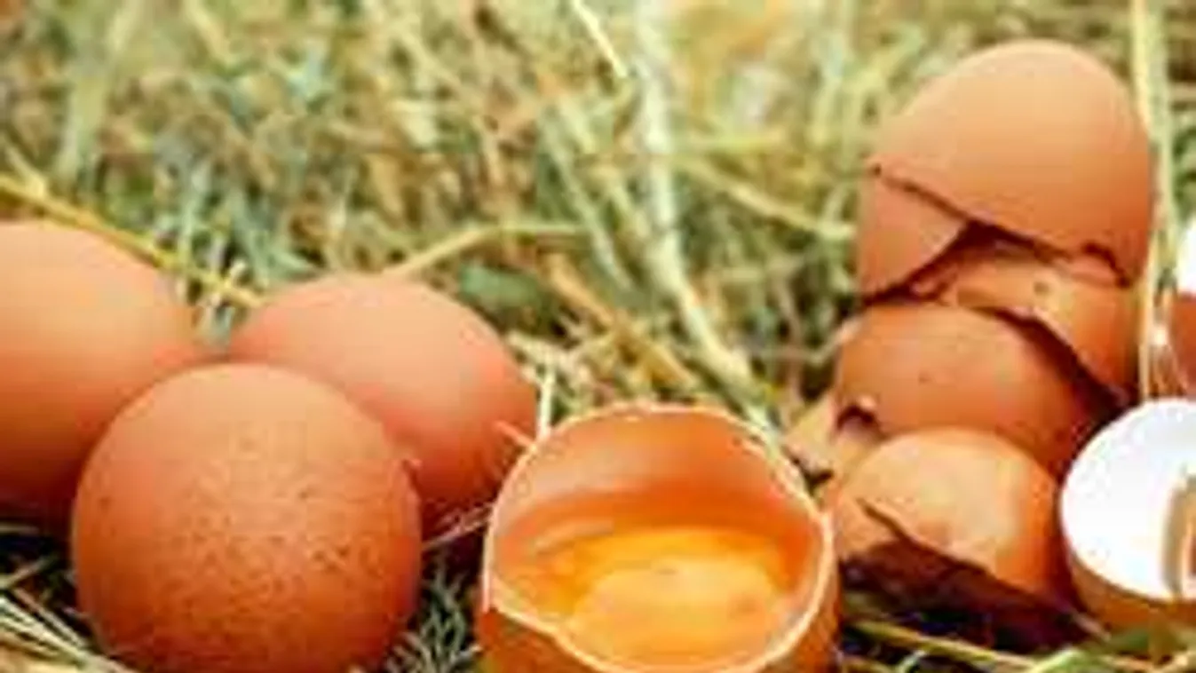 Már hozzánk is került a mérgező tojásból?