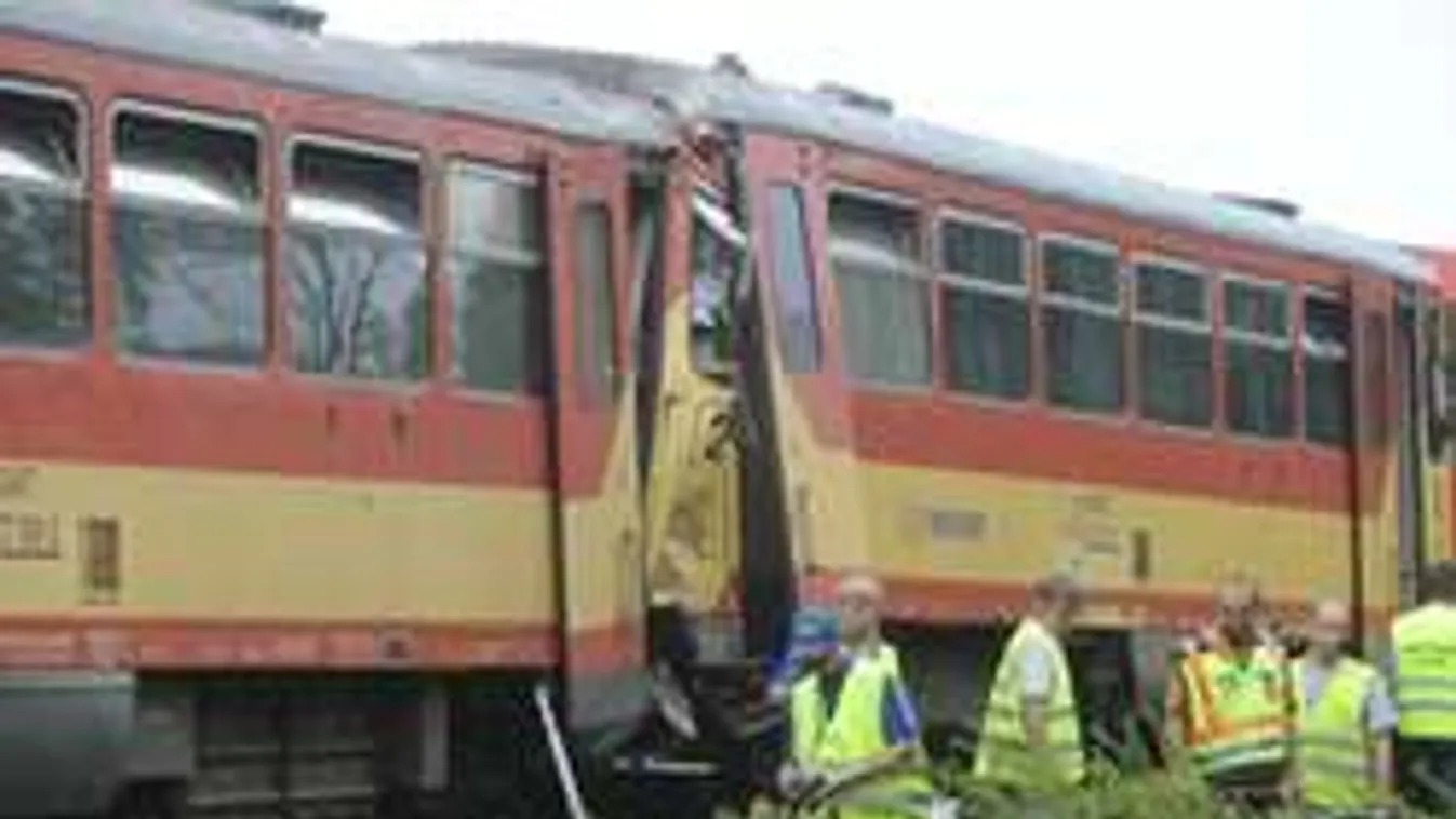 Tortúra vár rád, ha a Balatonra mégy, vagy onnan jönnél vonattal