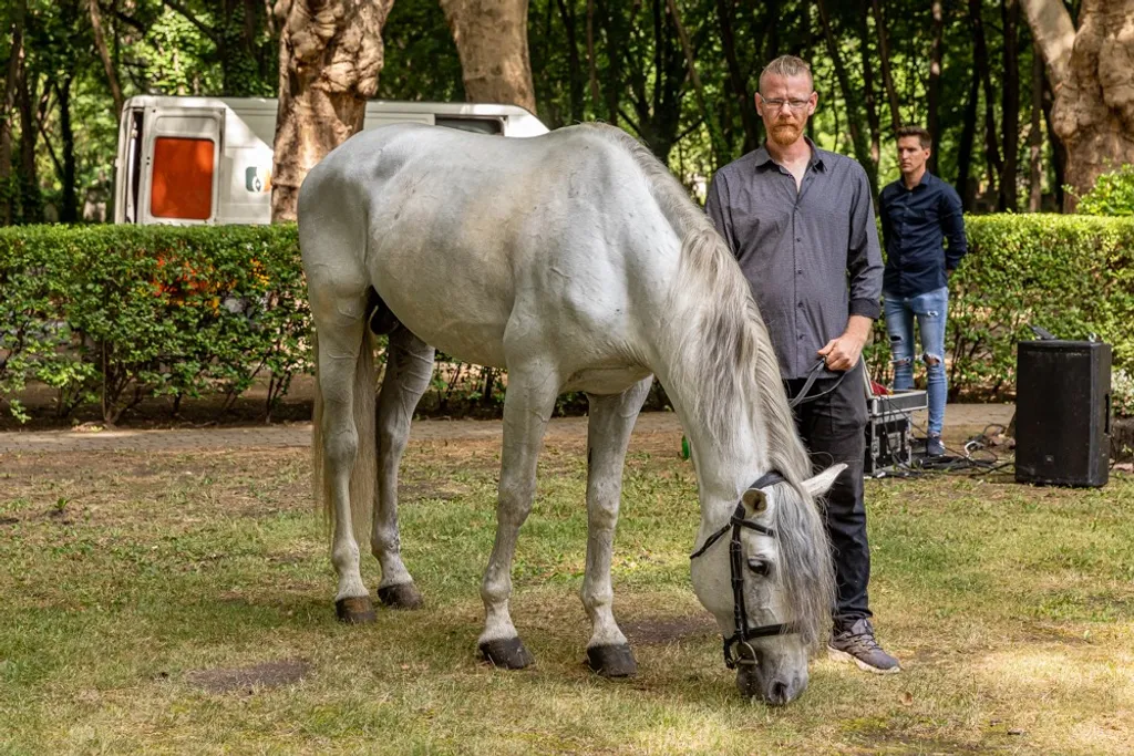 20210713_Gabor_ZsaZsa_Magyarorszagi_temetese_MG_RP 00025_