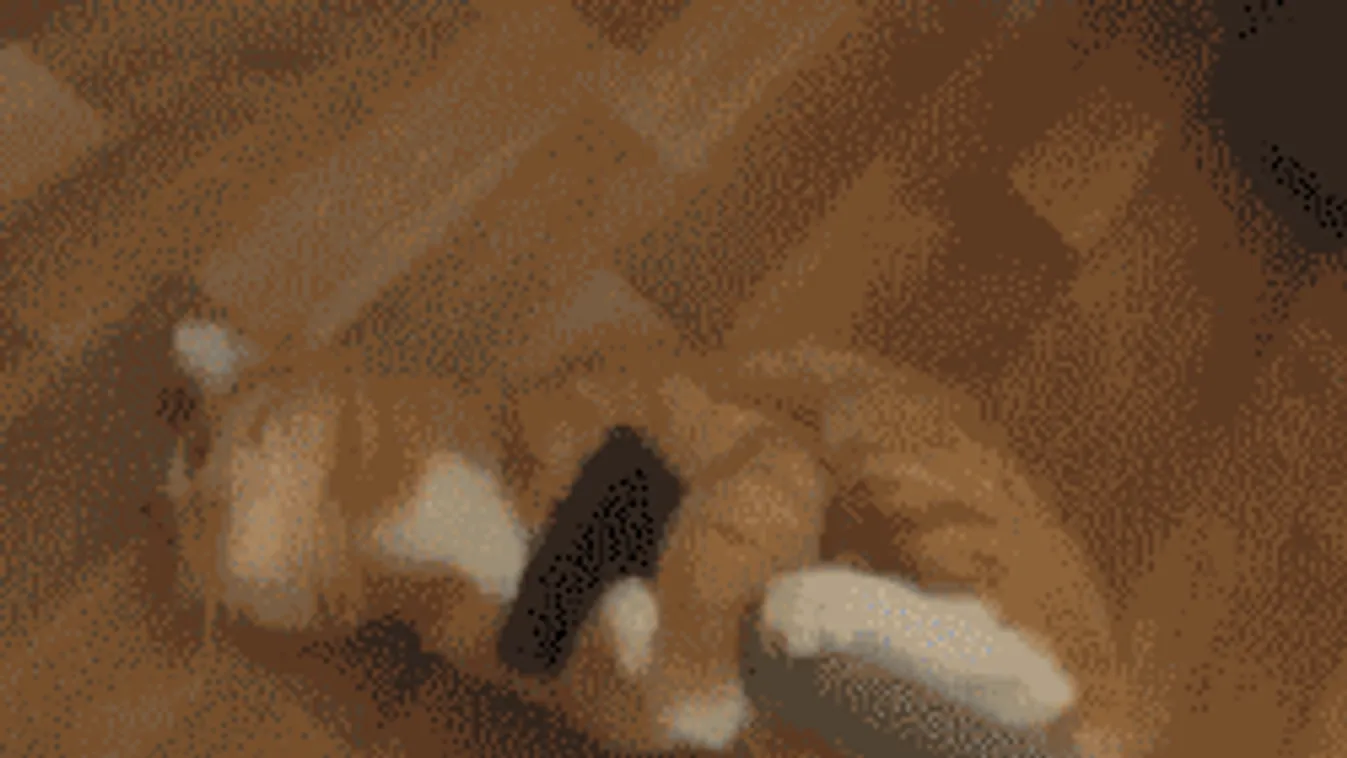 Húsvéti nagytakarítás? Felejtsd el, megoldjuk helyetted!