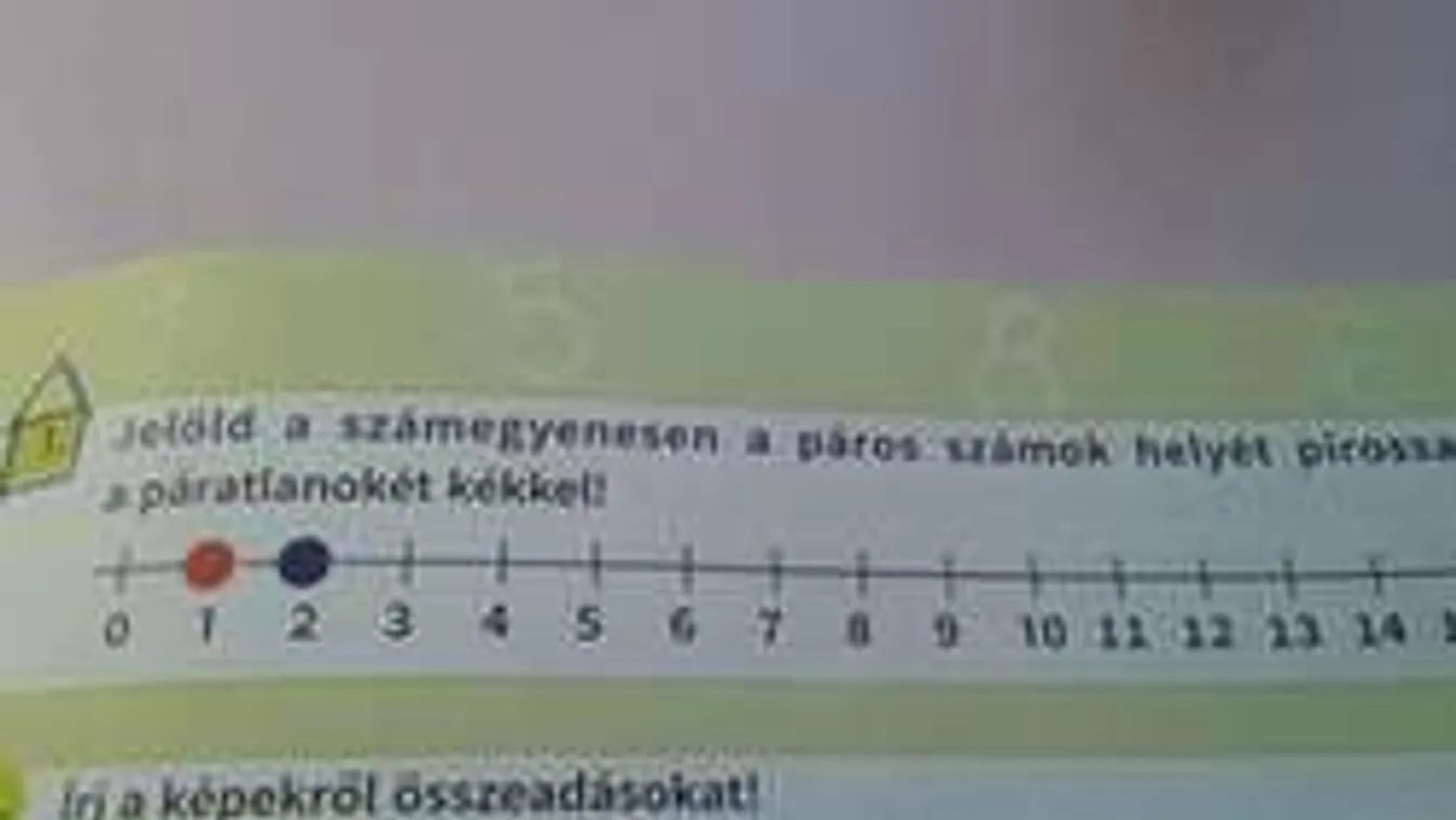 Óriási hiba az alsós matematikakönyvben!