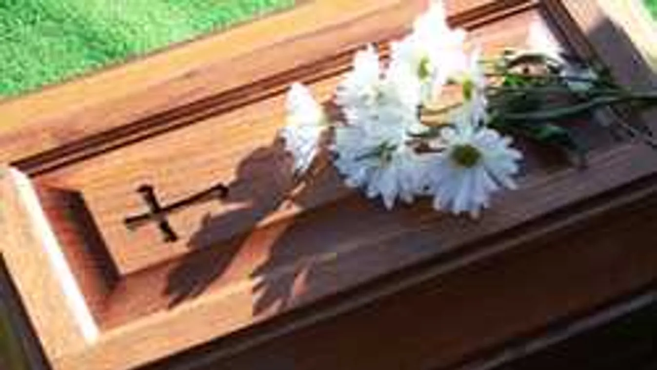 Sokkoló lelet az egyetem pincéjéből: Mit művelt Mengele a gyerekekkel