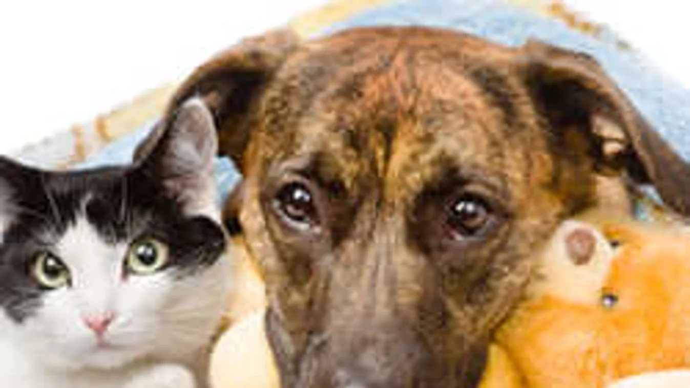 Meglepő, de ezeket a ruhákat soha nem szabadna mosógépben mosni