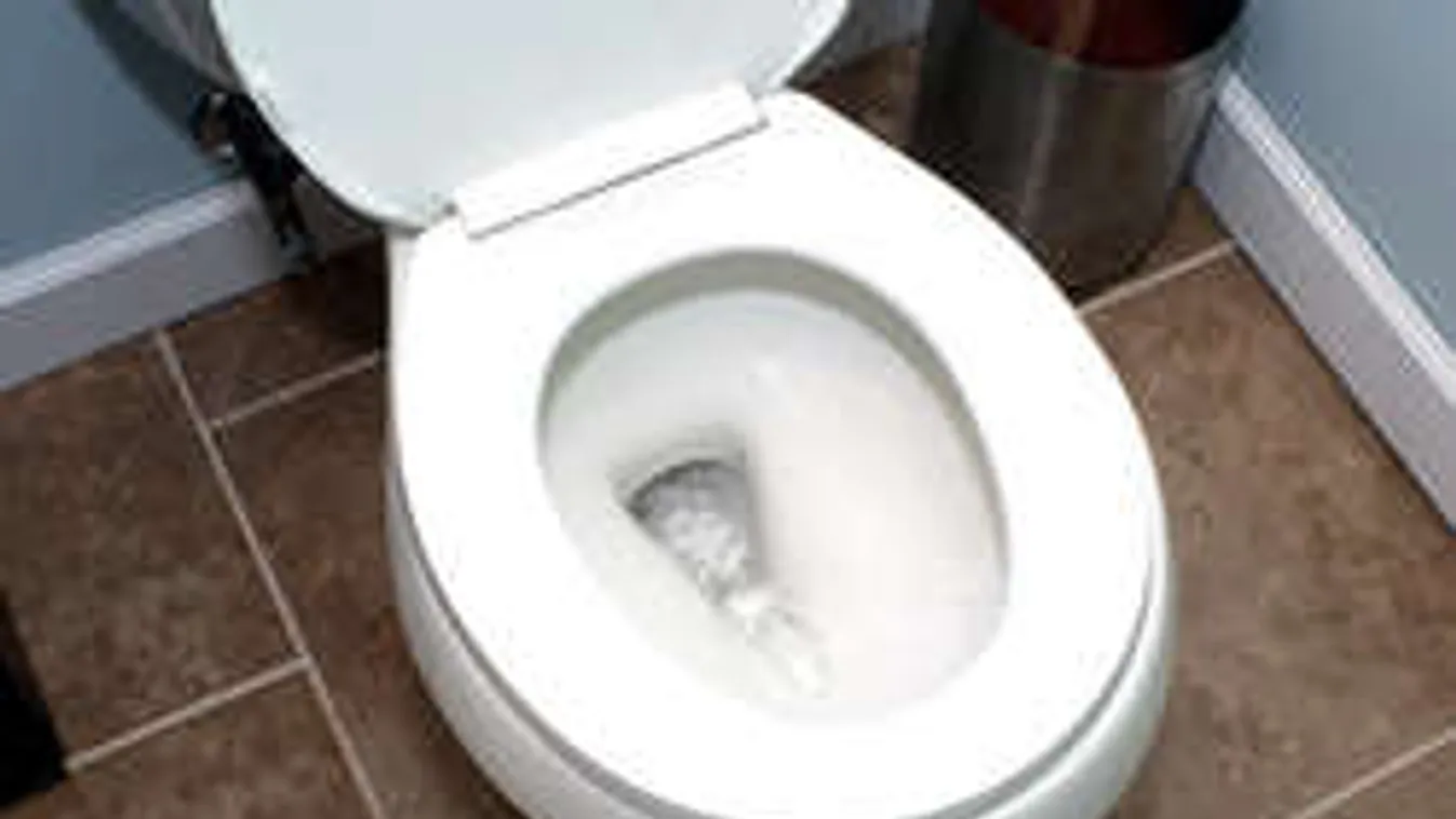 Rémisztő, miket húznak le egyesek a vécén!