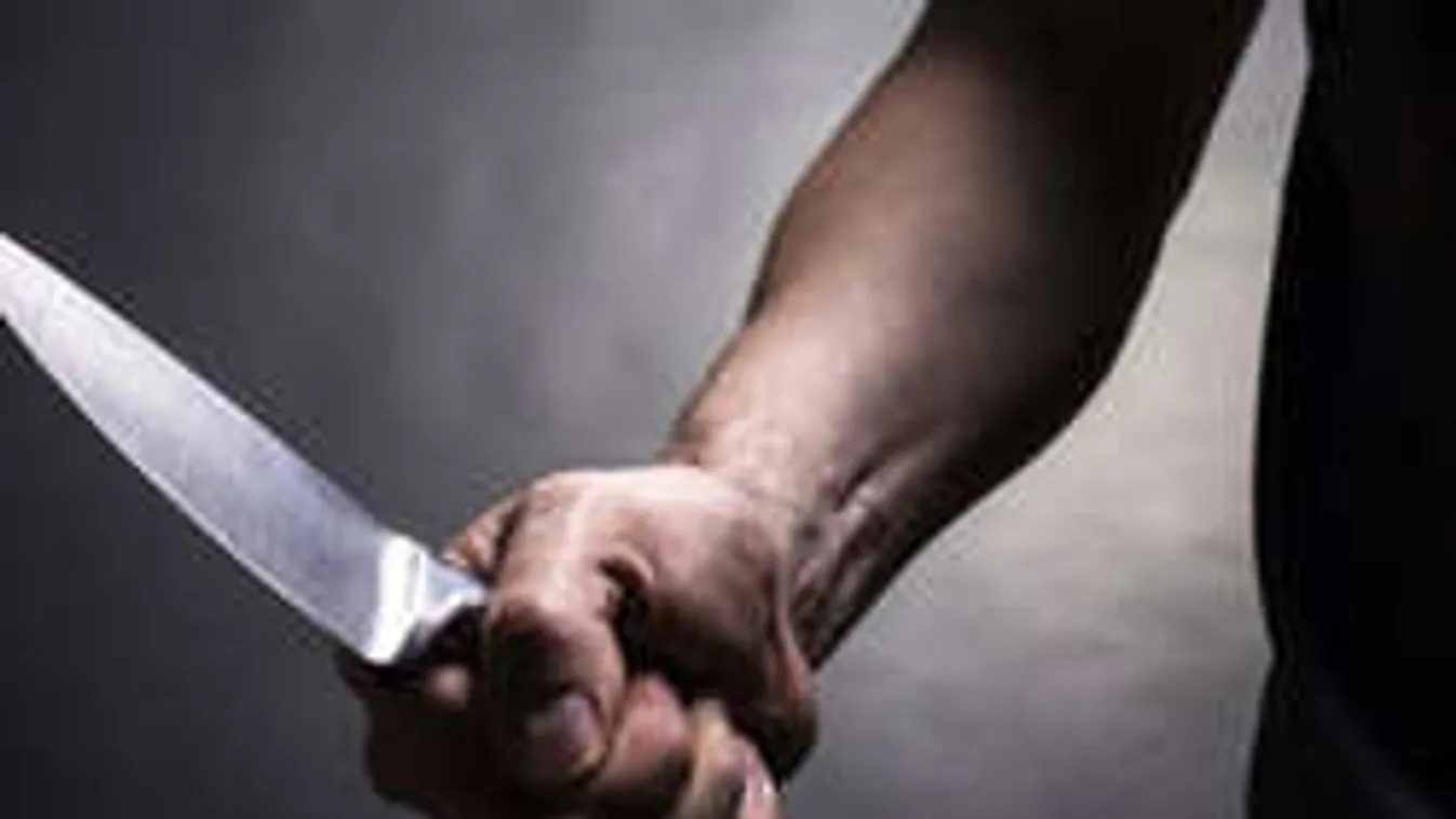 Előbb felmentették, majd 12 évre ítélték a borsodi gyilkost