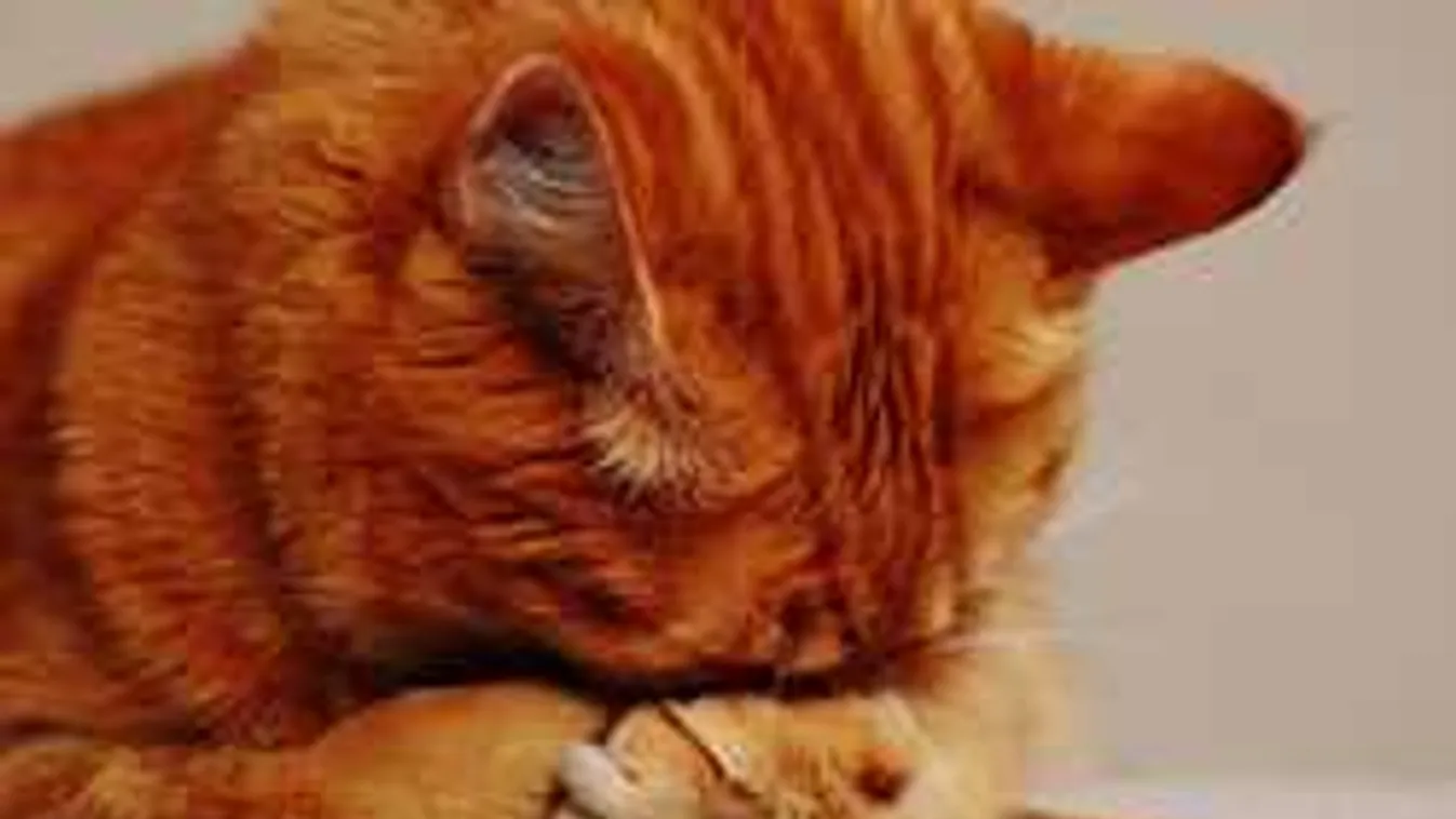 A hétvégét elmossa az eső, jönnek az év legnagyobb viharai