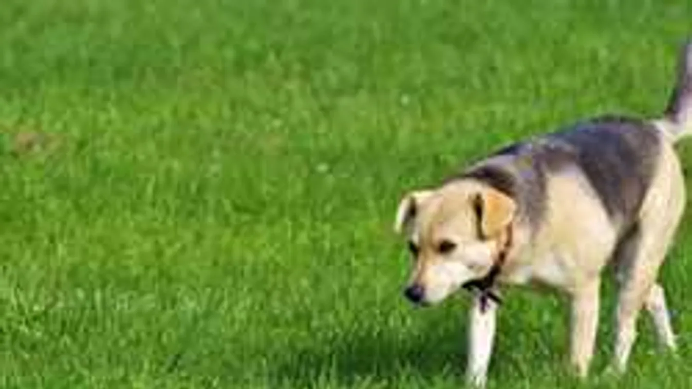 Botrányos jelenetet rögzítettek a metrón - felkavaró felvételek!