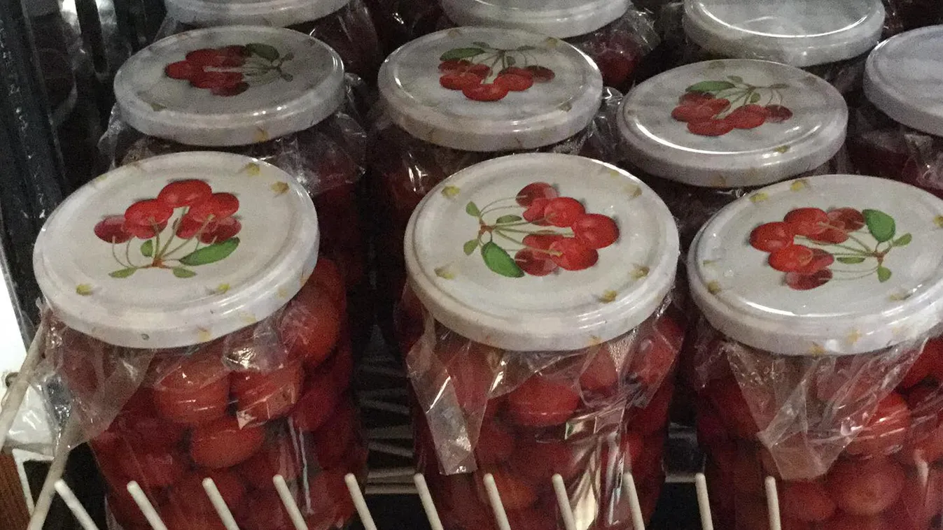 Őrület, mire használják újabban a nők a mosogatógépet