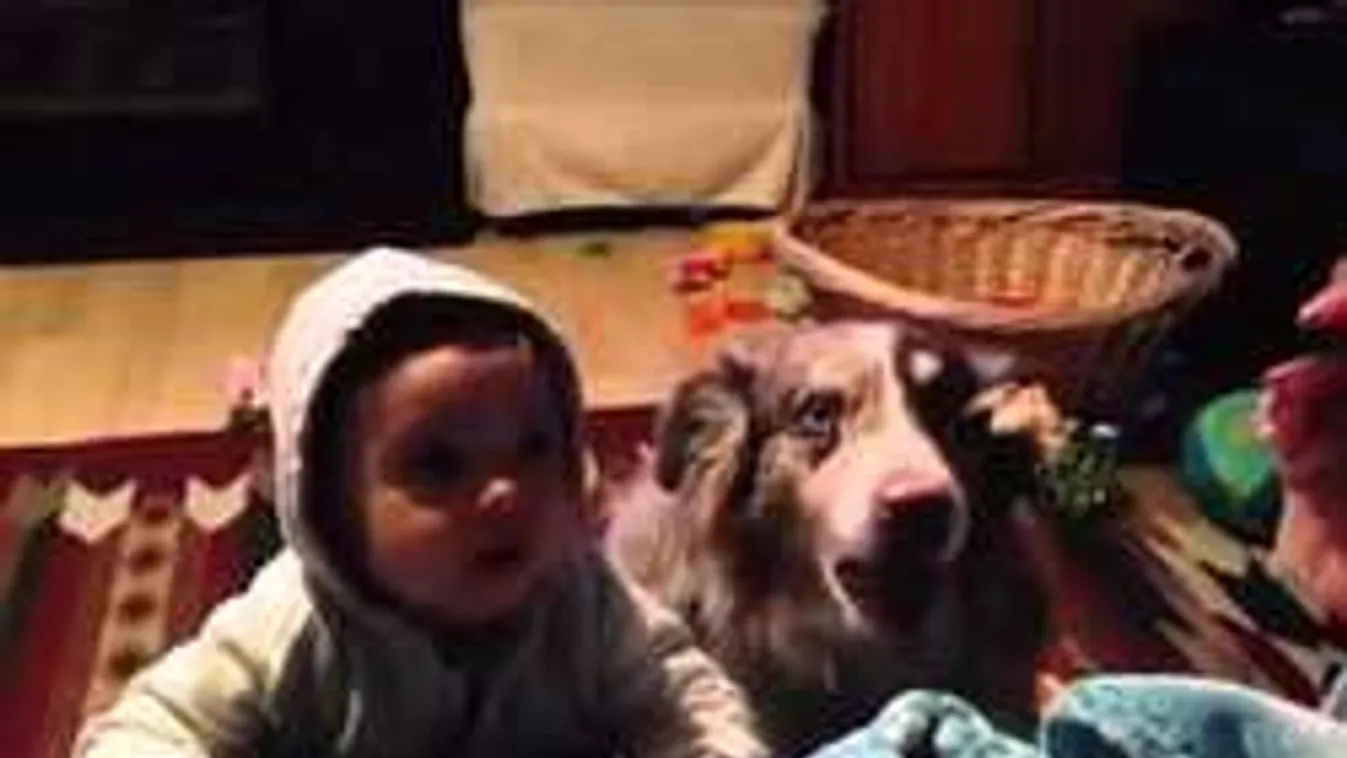 A nap legcukibb VIDEÓJA: a kutya előbb mondja, hogy mama, mint a gyerek