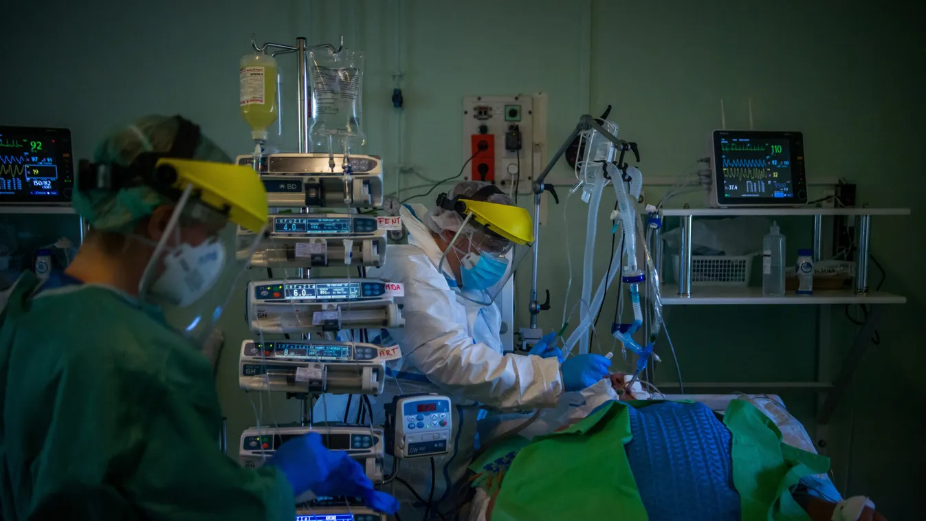 Fotó: Balogh Zoltán / MTI