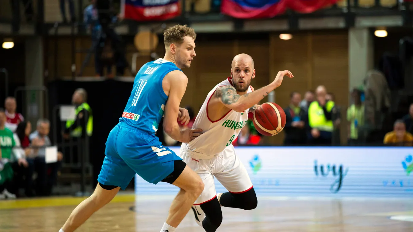 Blazic, Jaka; Vojvoda Dávid