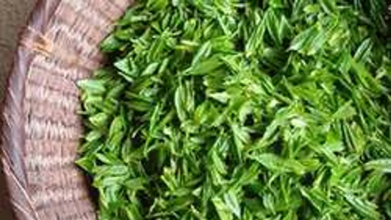 Lilára festi a vizeletet a tegnap betiltott életveszélyes tea!