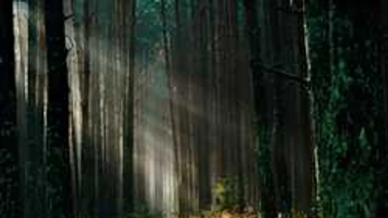 Legnagyobb titkaid fedi fel ez a megdöbbentő személyiségteszt!