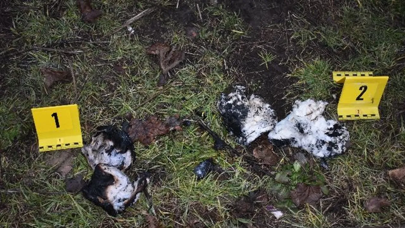 Felgyújtotta a vonat vécéjét egy magyar fiatal, így próbálja megmagyarázni