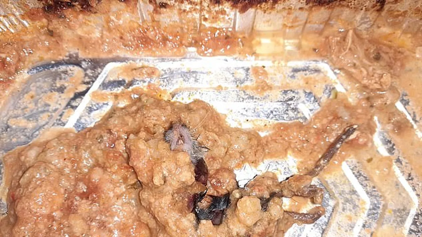 Döglött egér volt a tescós kaja aljában, 12 órán át hányt a nő