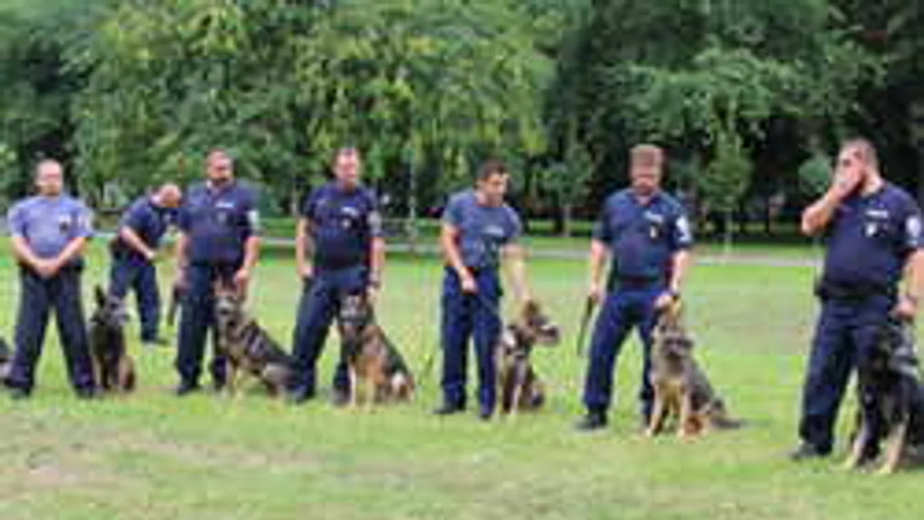 Nem hiszed el, mire képesek a rendőrkutyák