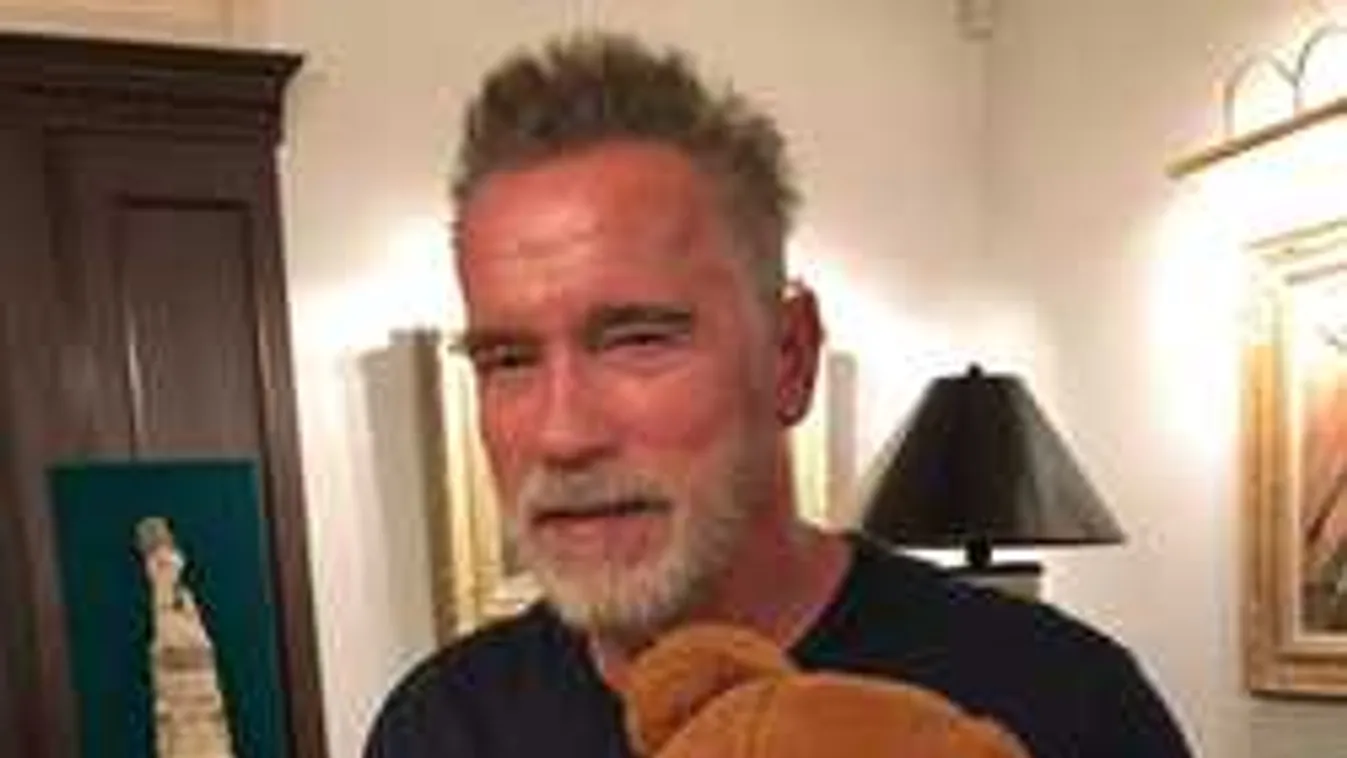 Arnold Schwarzenegger is csatlakozott a "maci" alapítványhoz