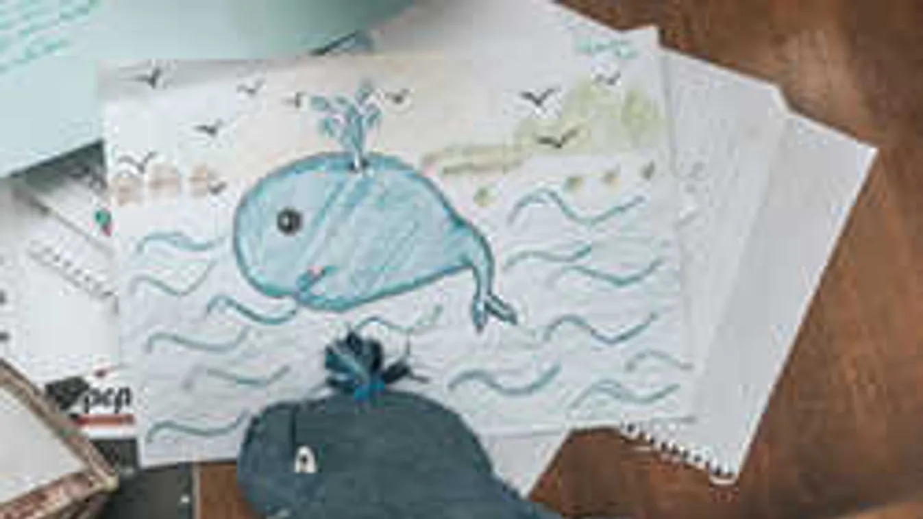 Magyar áldozata is van a tinik öngyilkos internetes őrületének