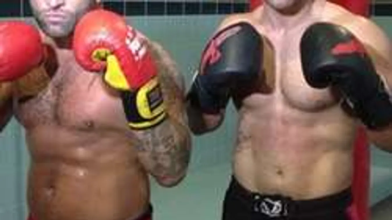 Tört-zúzott Tatabánya belvárosában három fiatal, másfél millió a kár!