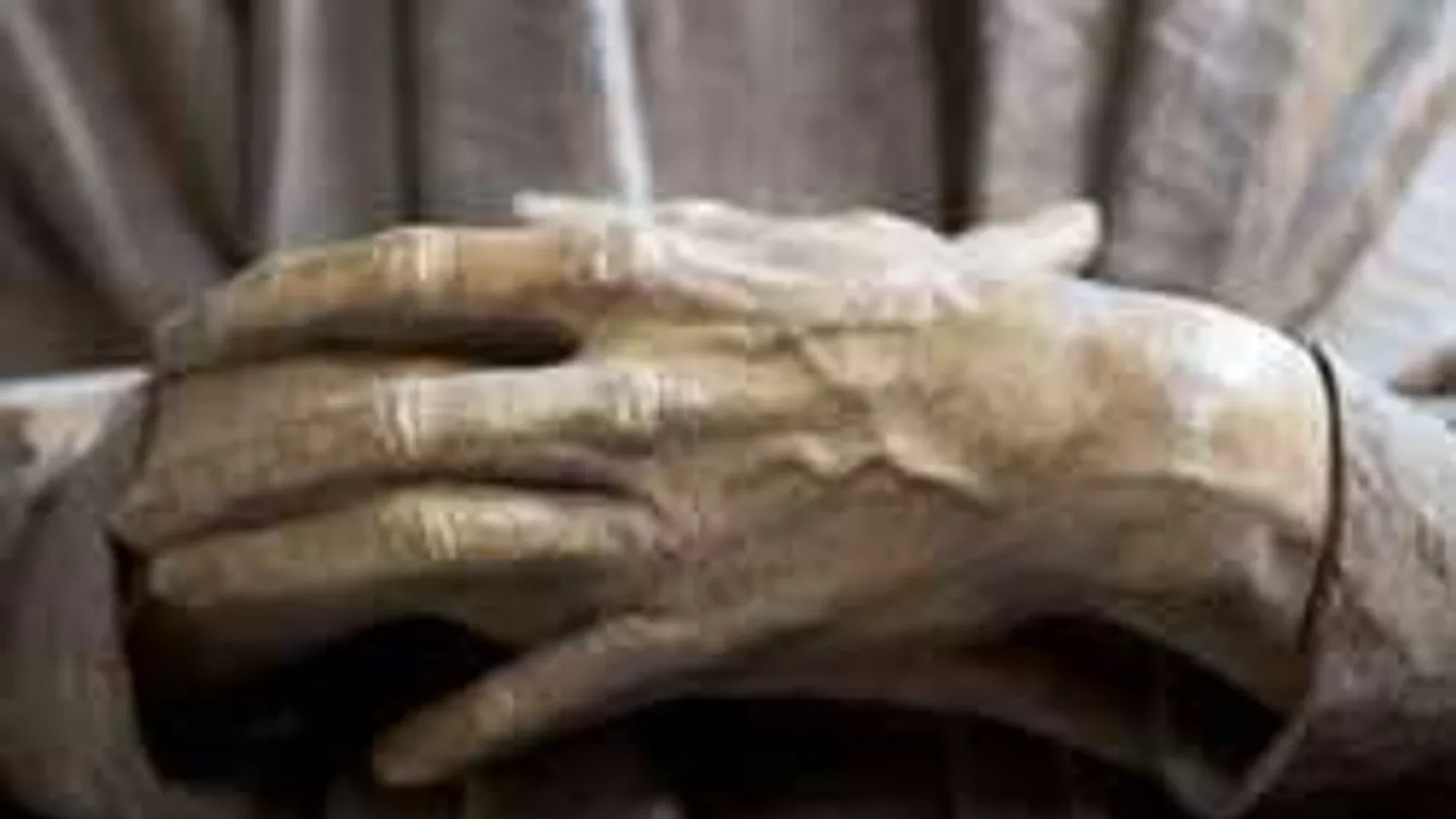 87 éves nénit erőszakolt meg egy afrikai migráns!