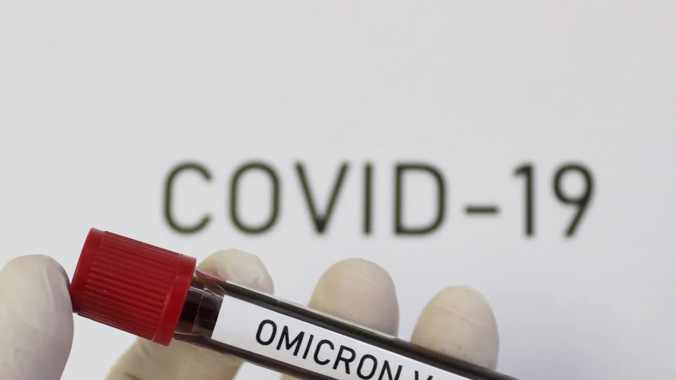 Omicron,Virus,Mutant,Variant,Covid-19,Sars-cov-2