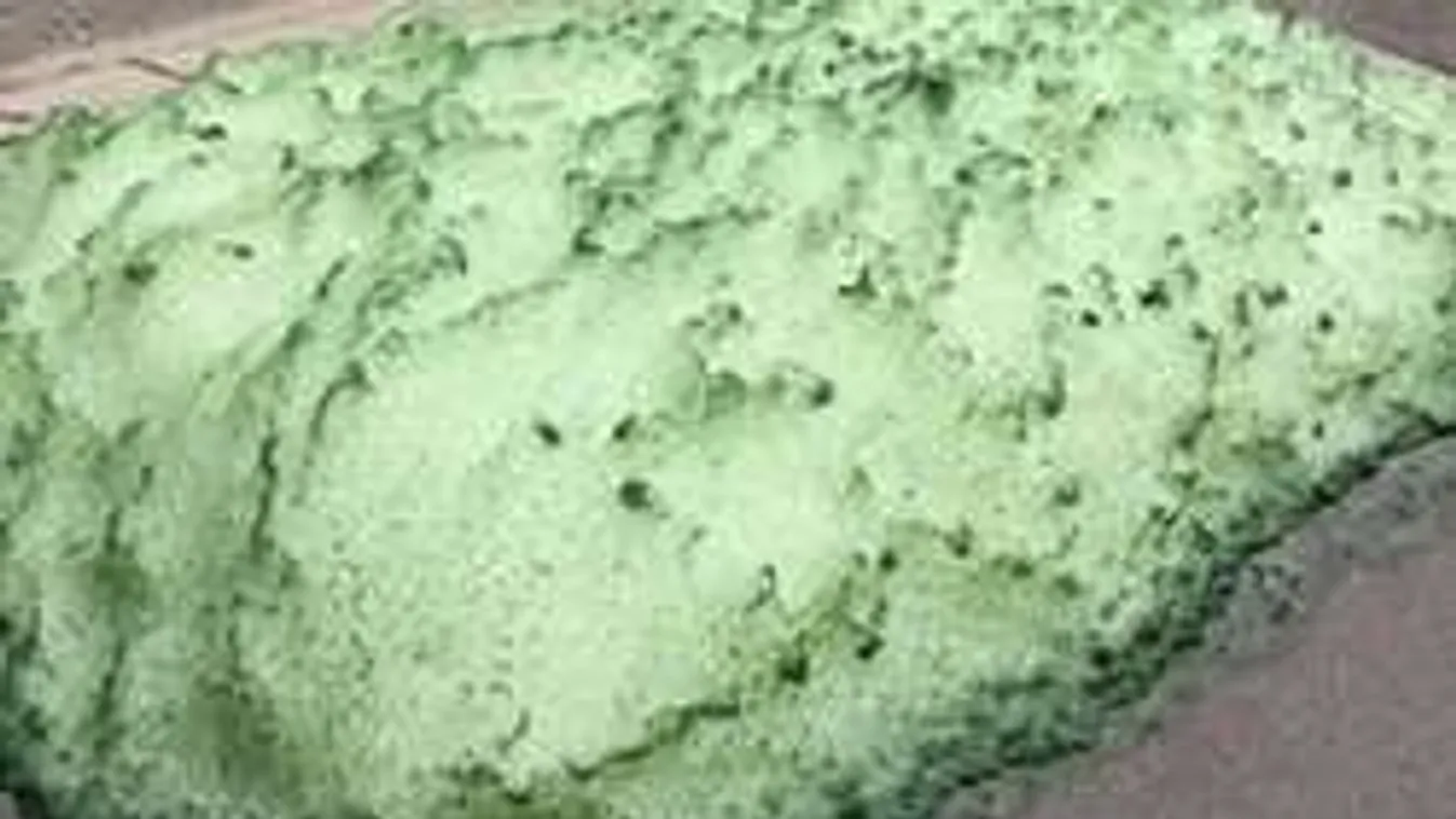 Rejtélyes zöld trutymó bugyogott elő a csatornából a vihar után