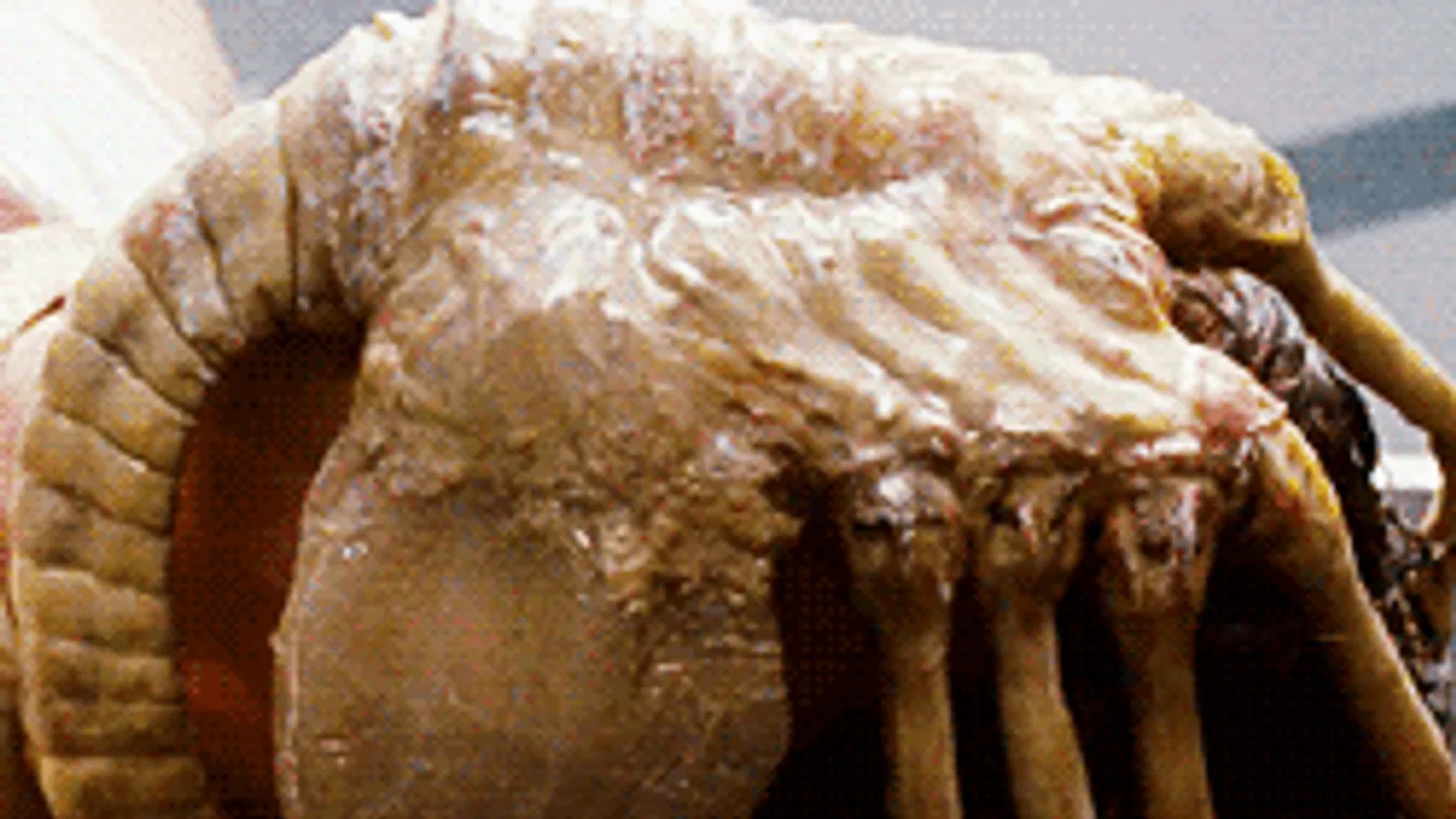 Elképesztő, mit találtak a Marson! - A NASA fotója