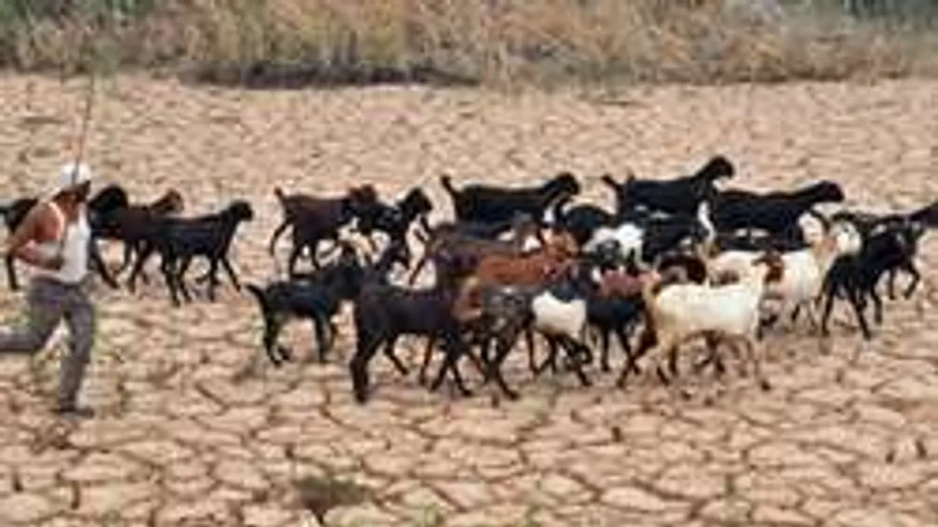 Ez rosszabb, mint az Iszlám Állam, semmi nem állhat ellen neki