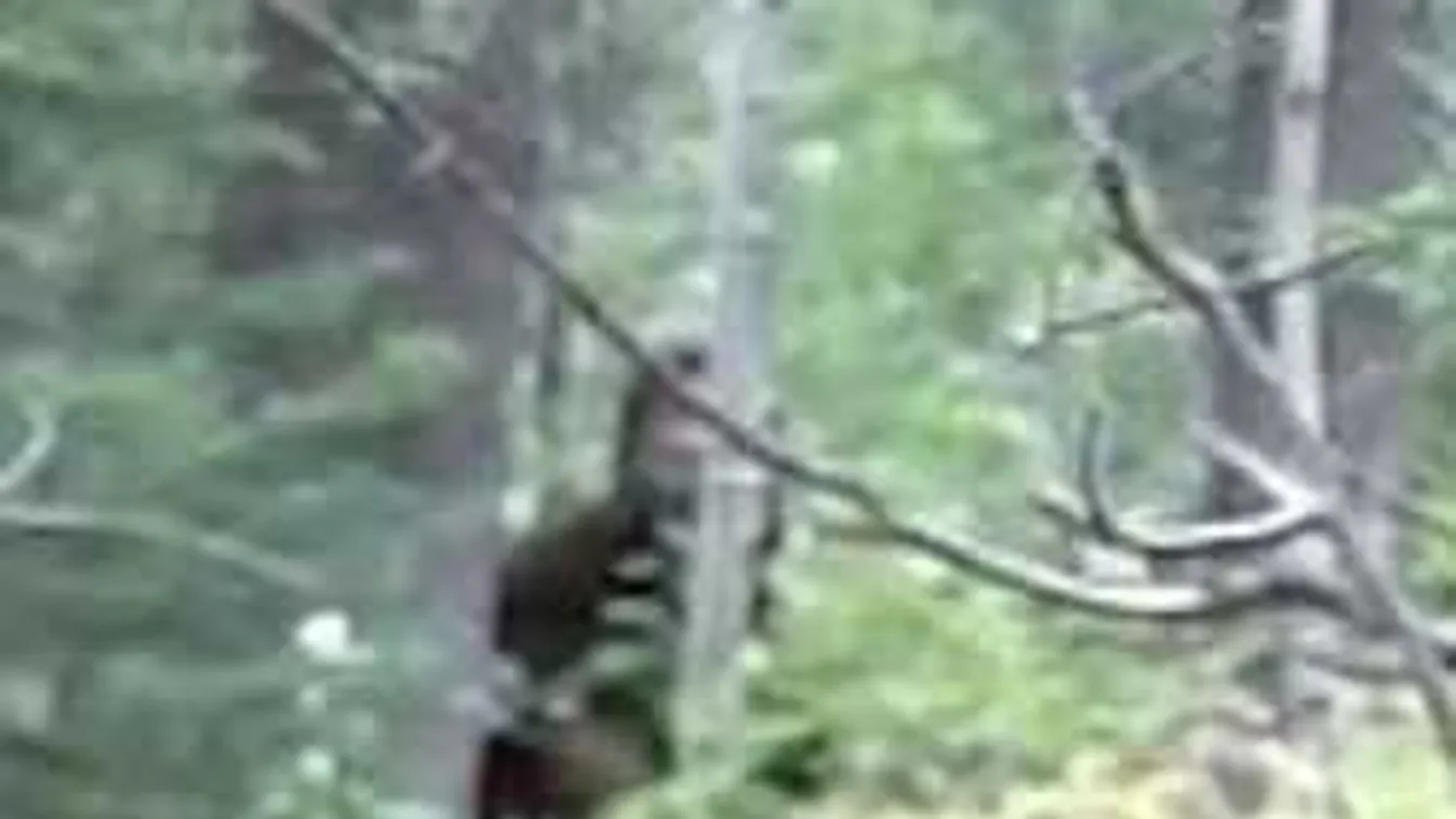 Olyasmit videóztak egy vonat ablakából, hogy a tudósok is megrémültek