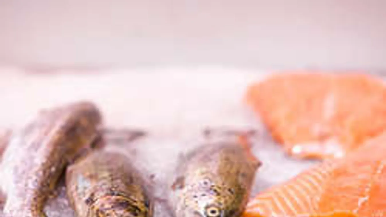 Kokaint, és 80 különböző drogot találtak a lazacokban