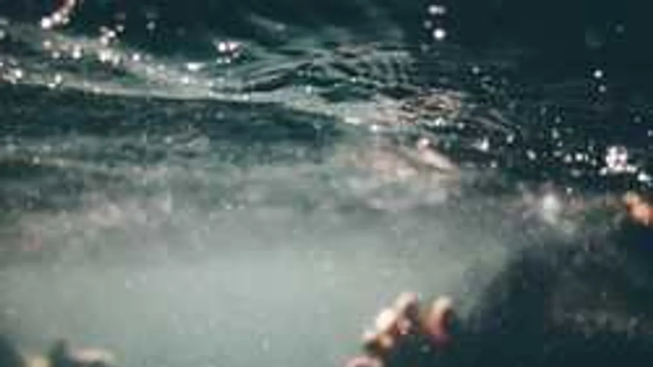 Halastóban bukkantak a fiatal holttestére, rejtély, mi történt