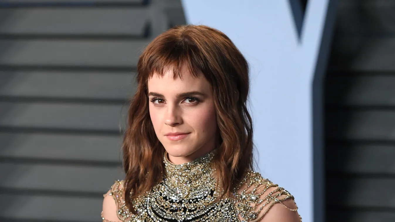 The 90th Academy Awards - Vanity Fair Party - Los Angeles