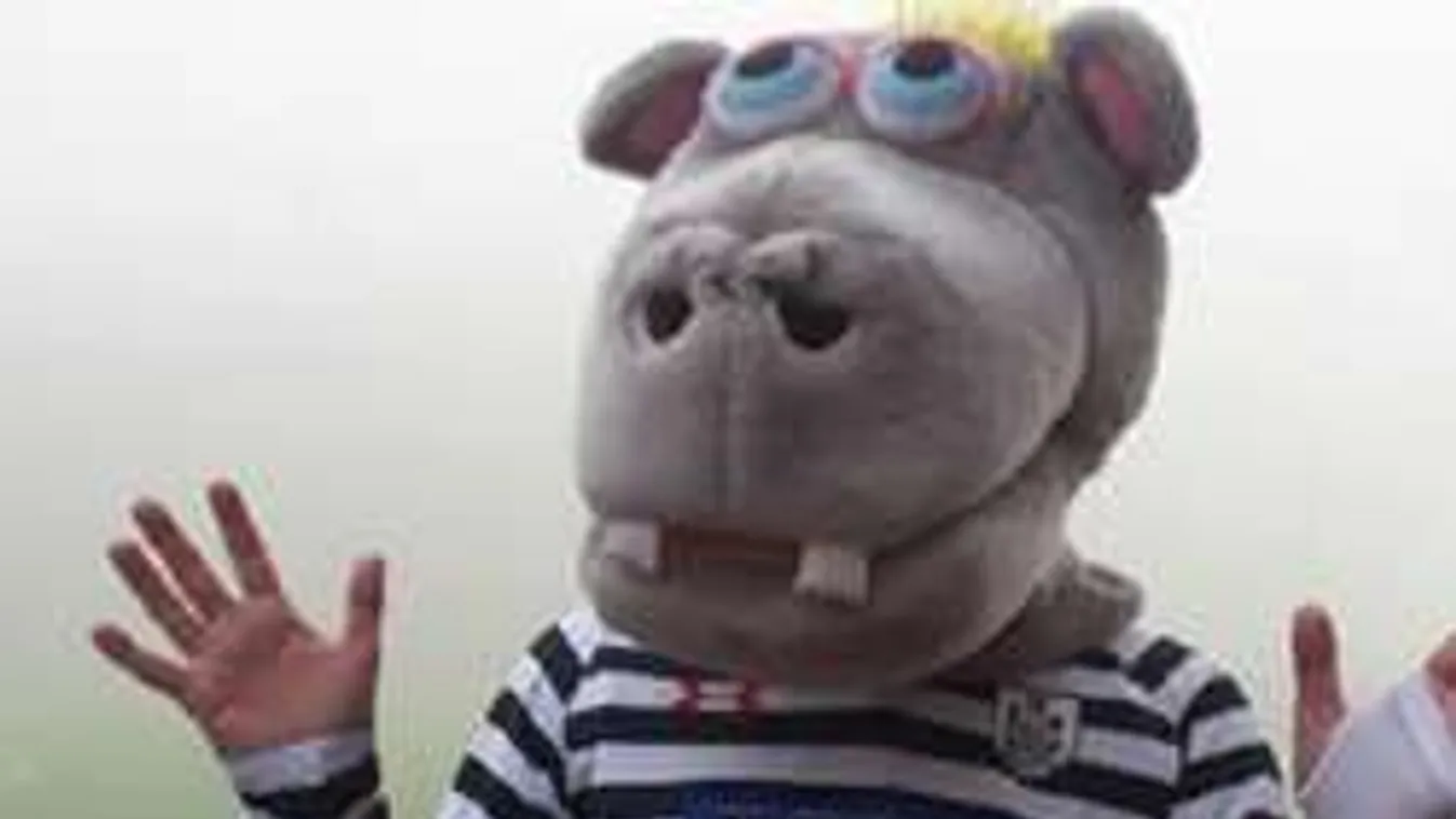 Szerencsétlen kabala: ellopták a víziló fejét