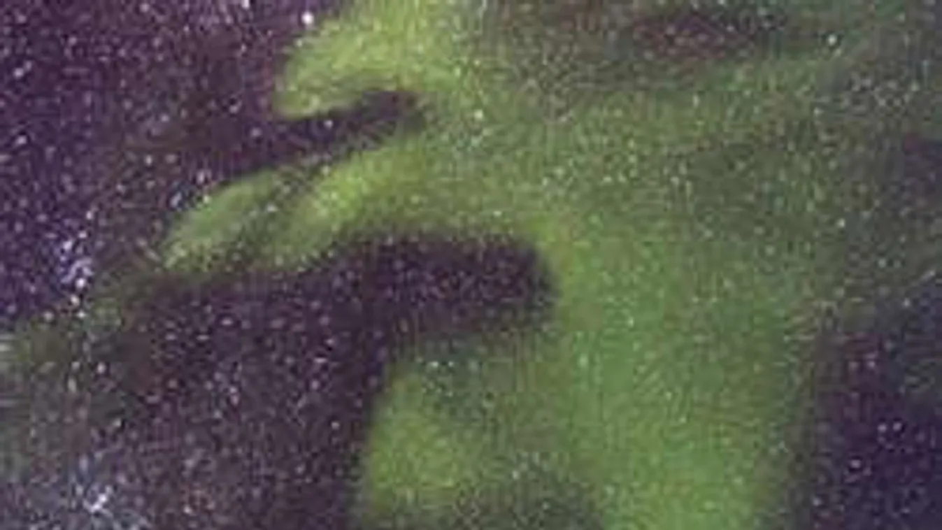 Baljós sarki fény jelent meg az égen