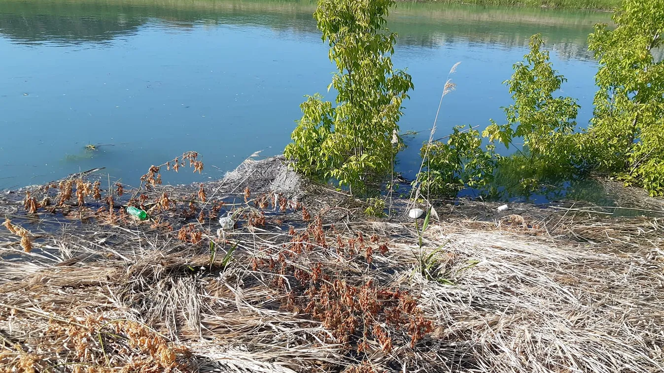 Kiakadtak a Balaton környéki lakók, több fotó is felkerült az internetre