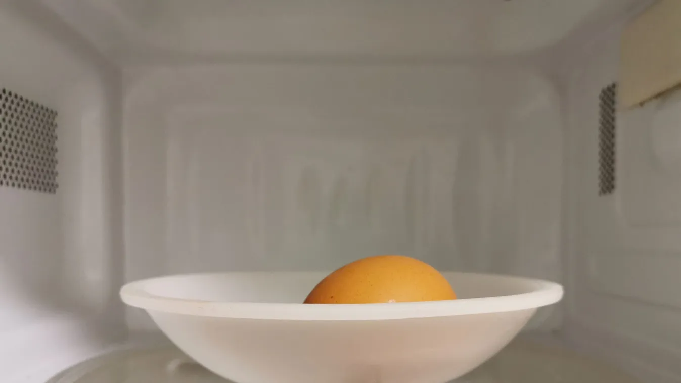 Eggs,Inside,Microwave,Oven.,Cooking,Eggs,In,The,Shell,In